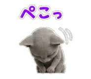 846841624