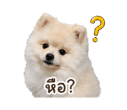 846841660