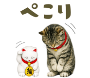 846841962