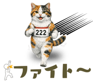 846841997