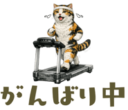 846841998