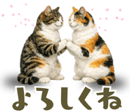 846842000