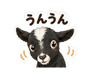 846843425