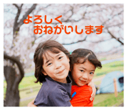 846843761