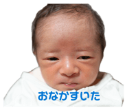 846843762