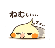 846843889
