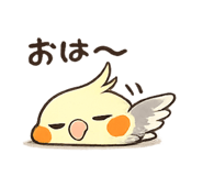 846843890