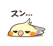 846843894