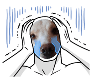 846844221