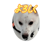 846844224