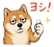 846844584
