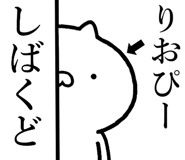 846846565