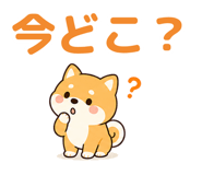 846849644