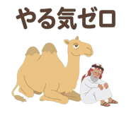 846850804