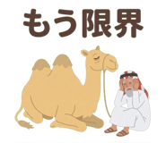 846850808