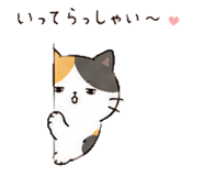846850916