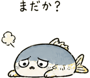 846852354