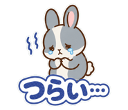 846853349