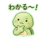 846854500