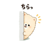 846857915