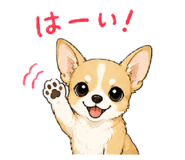 846862145