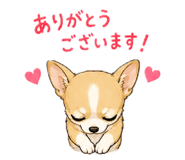 846862146