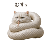 846862485