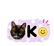 846863449