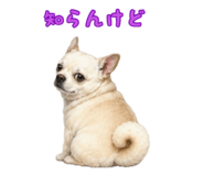 846864085