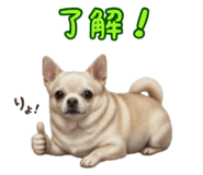 846864092