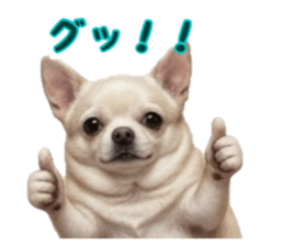 846864097