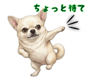 846864100
