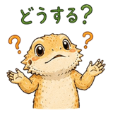 846866534