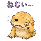 846866540