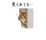 846868926