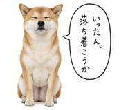 846869035