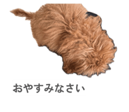 846870661