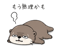 846872354