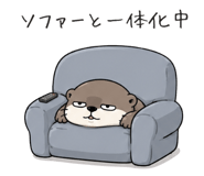 846872364