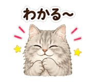 846872439