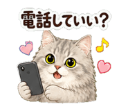 846872442