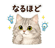 846872451