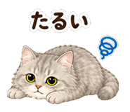 846872455