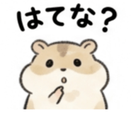 846873998