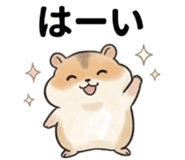 846874005