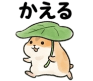 846874010