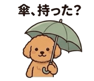 846874054