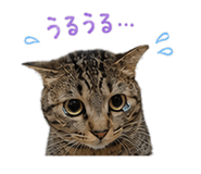 846874986