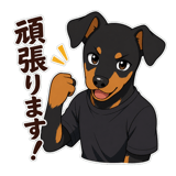 846875541