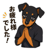846875565